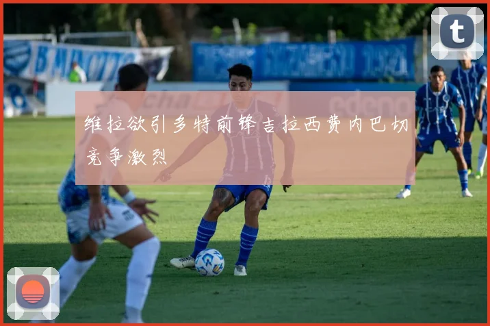 维拉欲引多特前锋吉拉西费内巴切竞争激烈